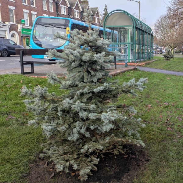 Rotary in Harpenden, known in the town for staging major community events like Classics on the Common and the Harpenden Quiz of Quizzes, and for running several activities for the benefit of young people, in 2023 expanded our activities in an effort to improve the living environment for residents of Harpenden and surrounding villages.