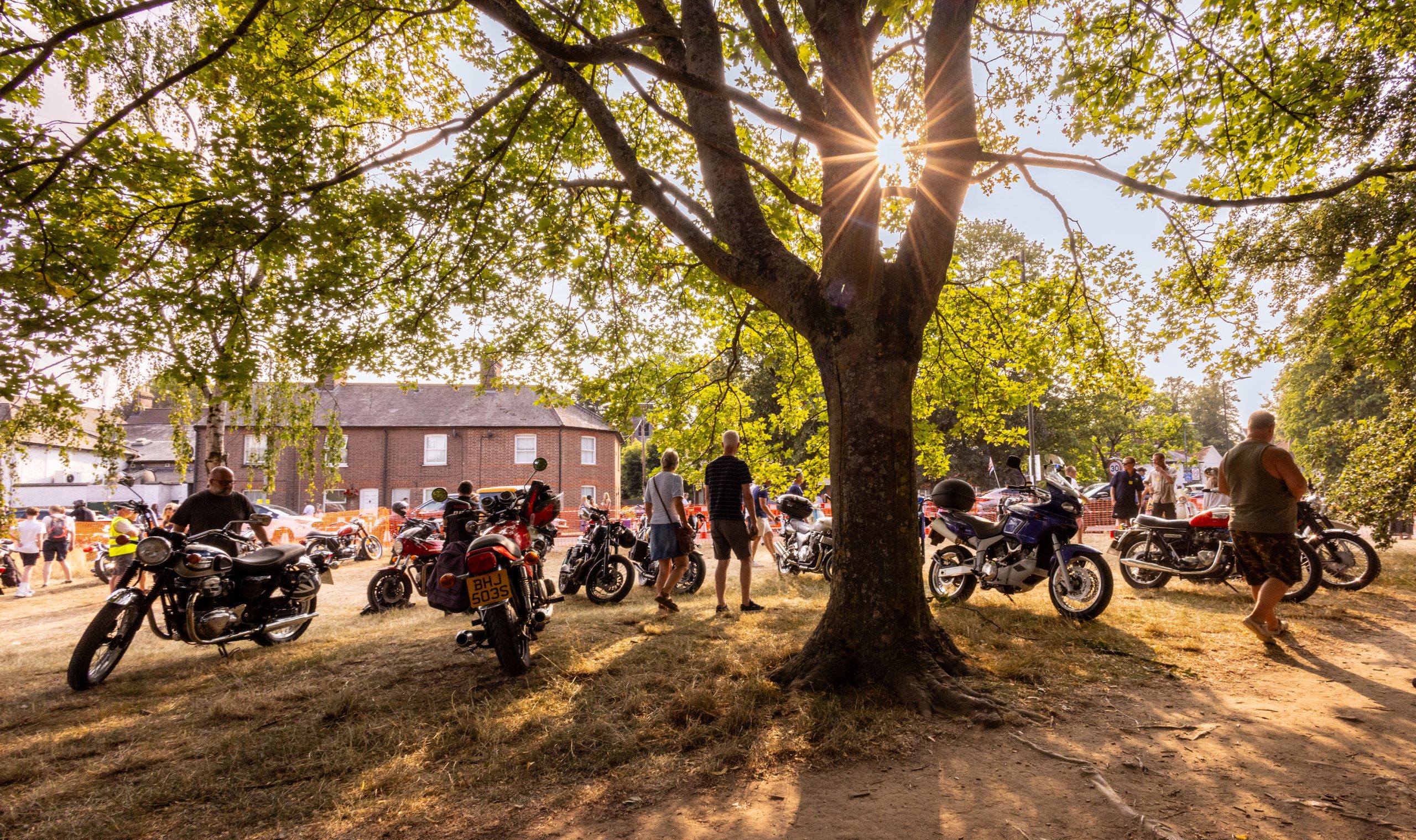 COTC2026(c)SteveCollins-236
